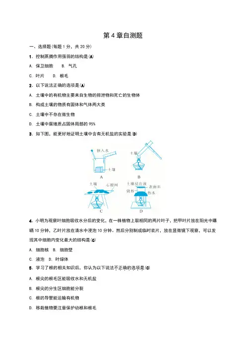浙教版八年级科学下册第4章《植物与土壤》测试题(含答案)