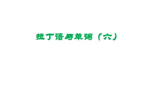 单词速记第64课  拉丁语与单词(六)