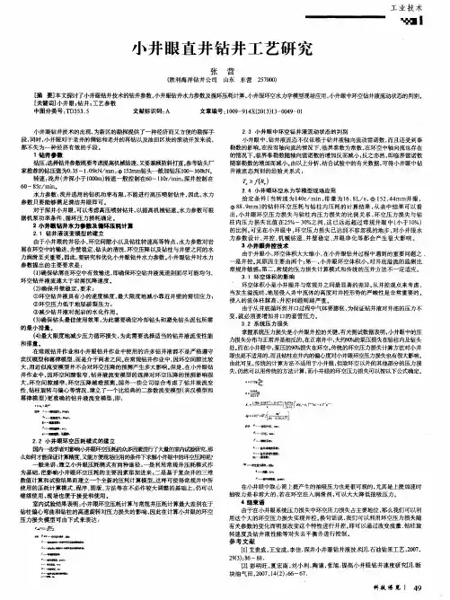 小井眼直井钻井工艺研究