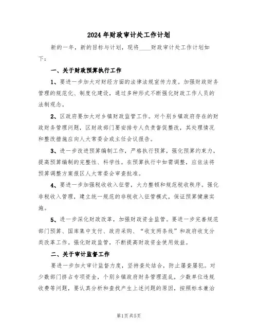 2024年财政审计处工作计划（2篇）