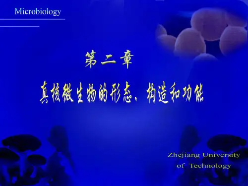 微生物学酵母菌