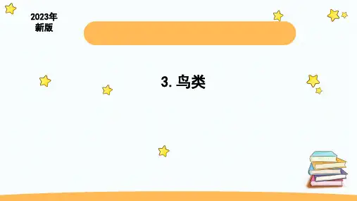 四上1.3《鸟类》课件