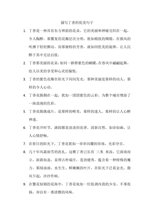 描写丁香的优美句子