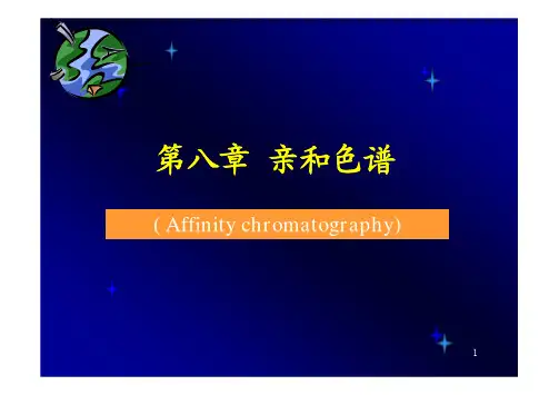 第八章 亲和色谱