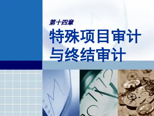 第14章特殊项目审计与终结审计