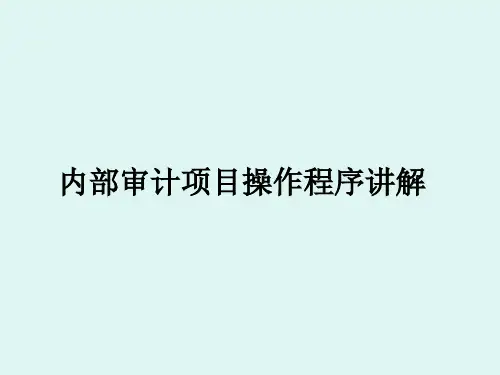 内部审计项目操作程序讲解课件PPT