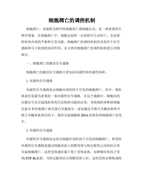 细胞凋亡的调控机制