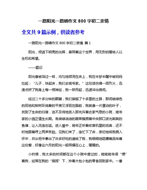 一路阳光一路晴作文800字初二亲情