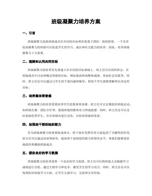 班级凝聚力培养方案