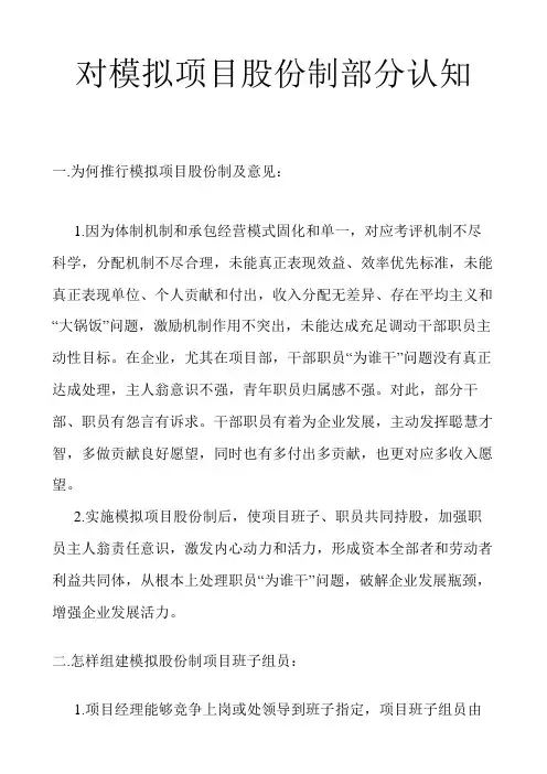对模拟项目股份制的一些认知
