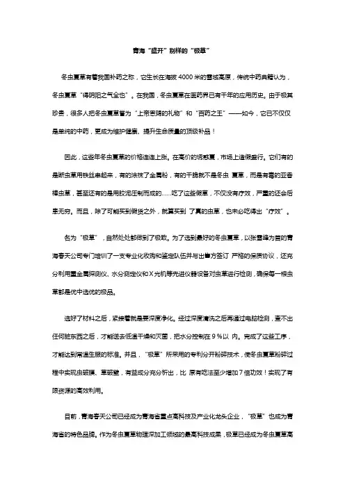 青海“盛开”别样的“极草”