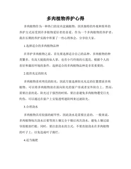 多肉植物养护心得