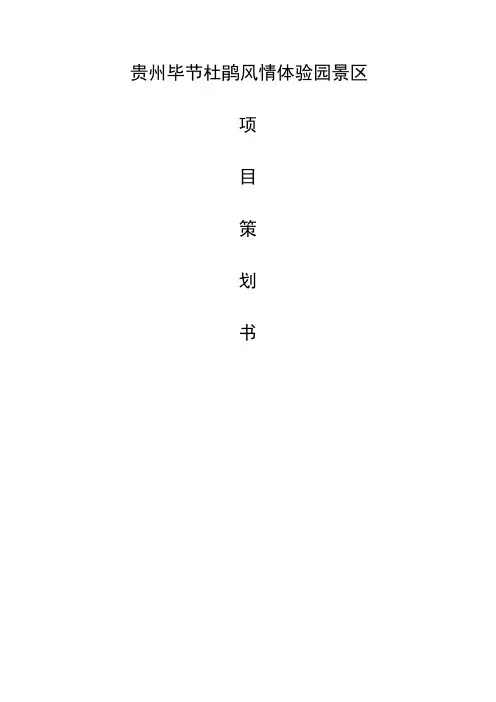 景区项目策划书
