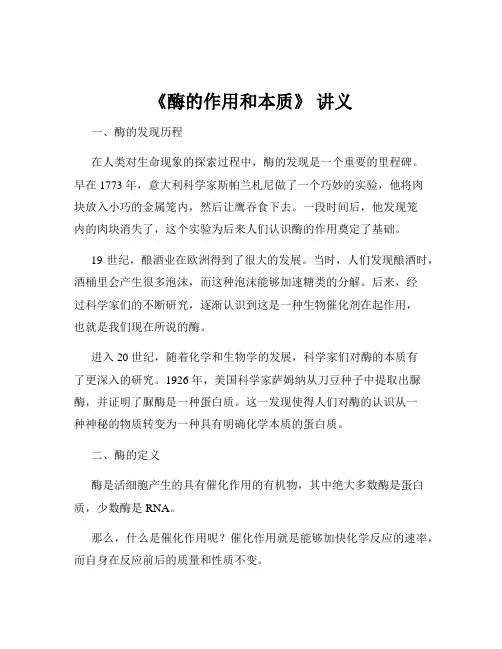 《酶的作用和本质》 讲义