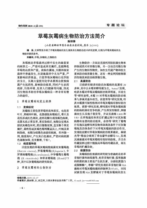 草莓灰霉病生物防治方法简介