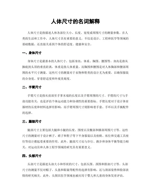 人体尺寸的名词解释