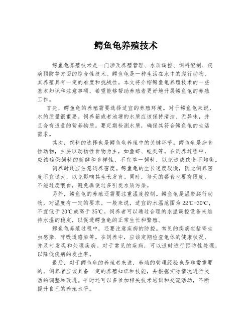 鳄鱼龟养殖技术