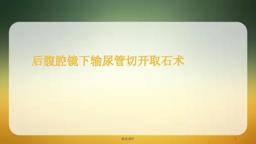 后腹腔镜下输尿管切开取石术ppt