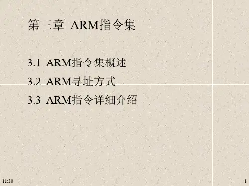 -ARM指令集报告