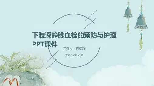 下肢深静脉血栓的预防与护理 ppt课件
