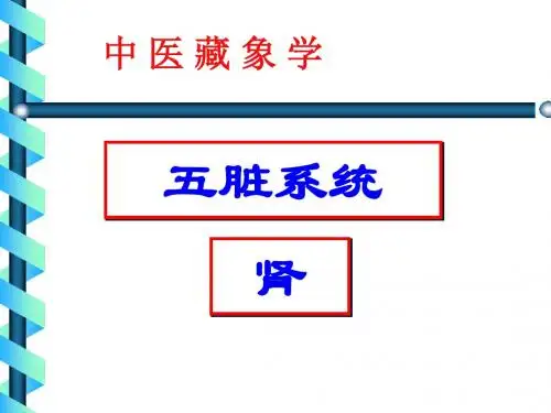 藏象学说-肾周康梅