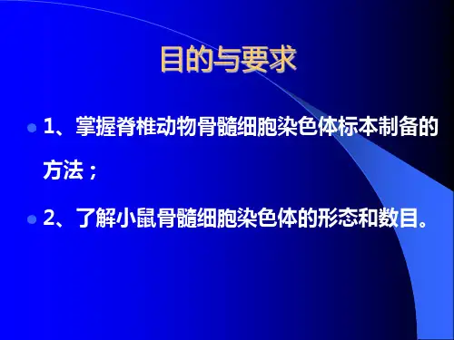 实验6小鼠骨髓细胞染色体标本制备与观察