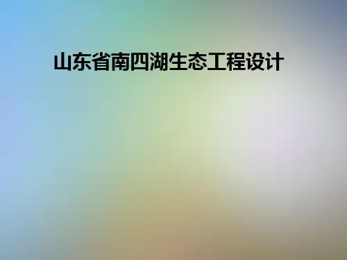 山东省南四湖生态工程设计