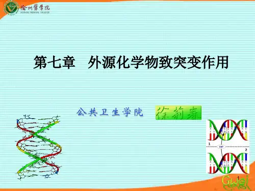 毒理学 第七章-致突变