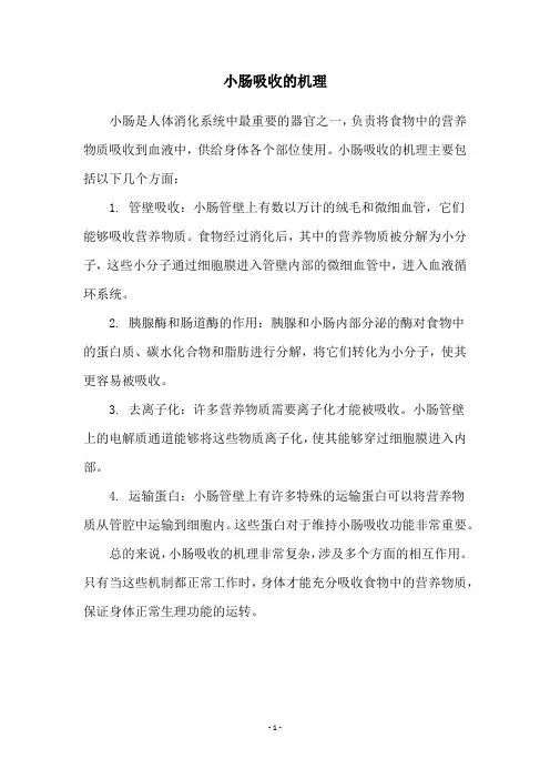 小肠吸收的机理
