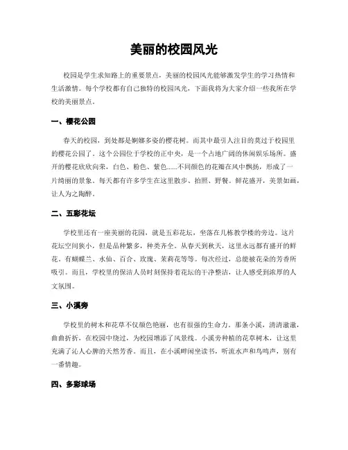 美丽的校园风光
