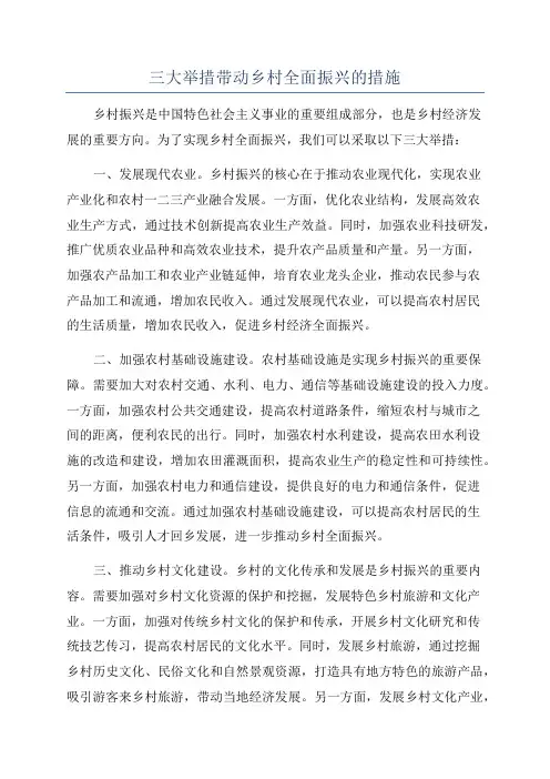 三大举措带动乡村全面振兴的措施