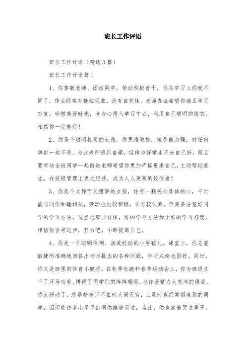 班长工作评语
