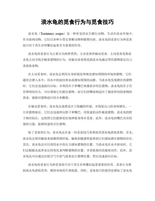 淡水龟的觅食行为与觅食技巧