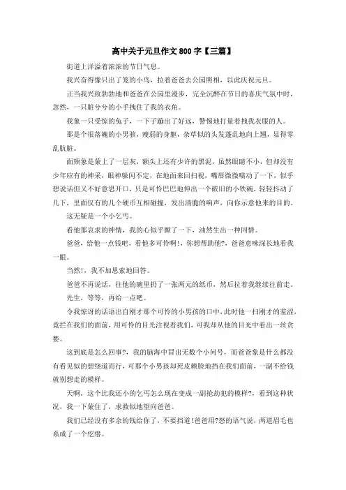 高中作文-高中关于元旦作文800字【三篇】 精品