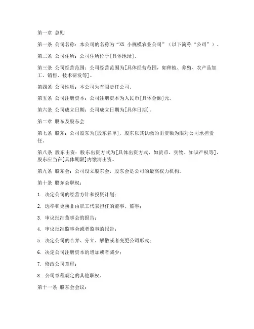 小规模农业公司章程模板