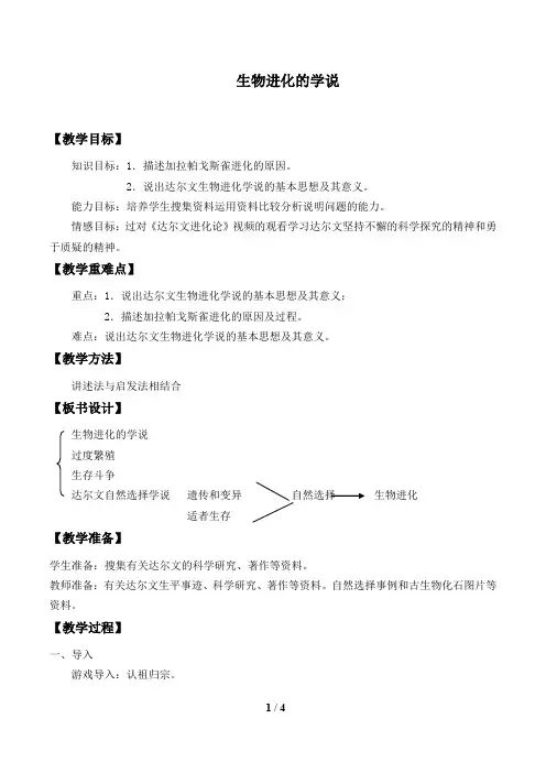 苏教版八年级生物上册：16.3 生物进化的学说  教案