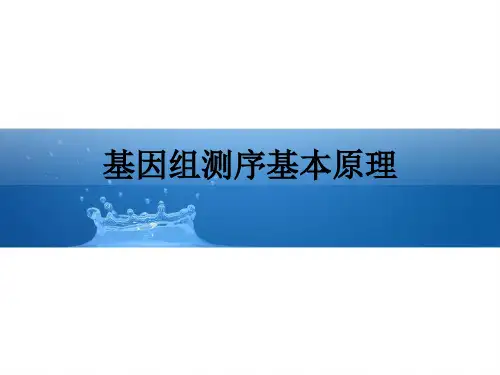 基因组测序基本原理ppt课件