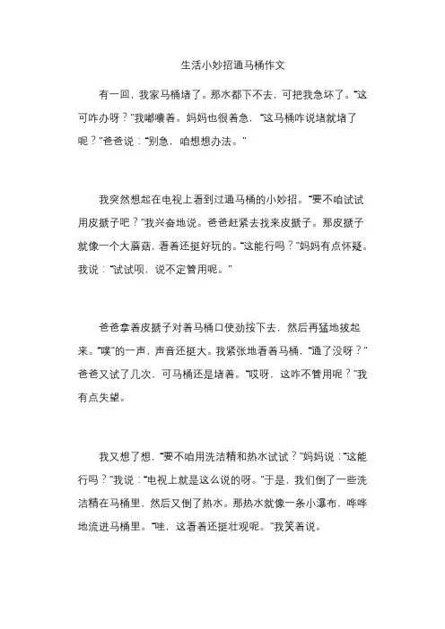 生活小妙招通马桶作文
