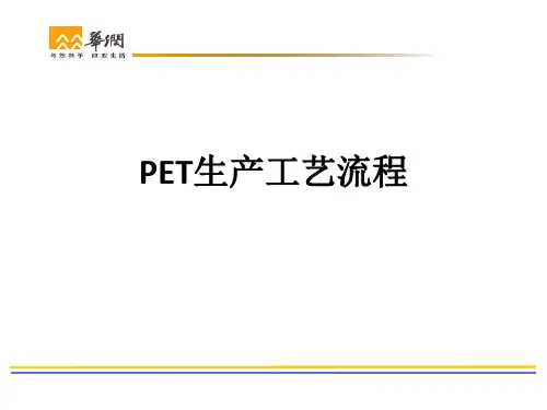 PET生产工艺流程ppt课件