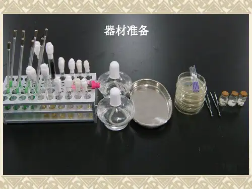 微生物实验5