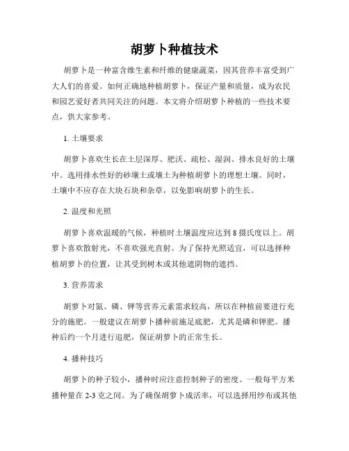 胡萝卜种植技术