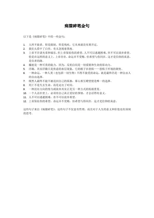 病隙碎笔金句