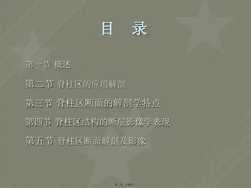断层解剖学脊柱区