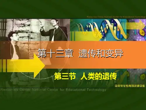第十三章  遗传和变异(第三节  人类的遗传)PPT课件