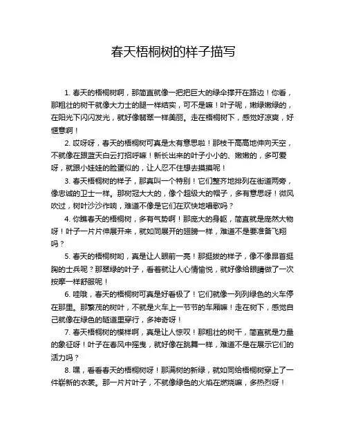 春天梧桐树的样子描写