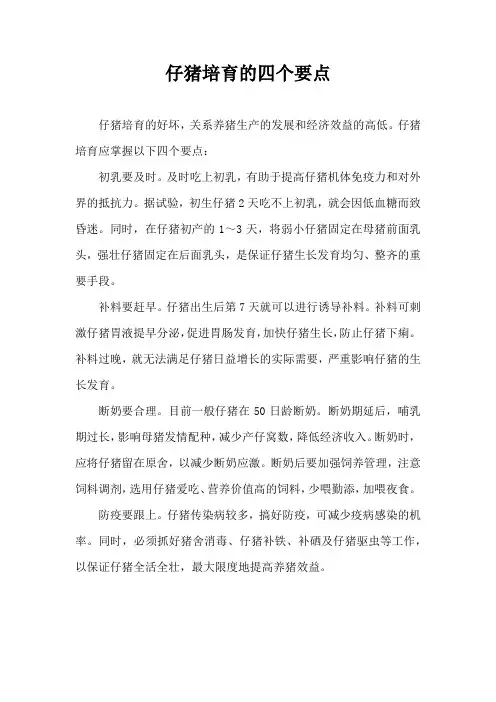 仔猪培育四个要点