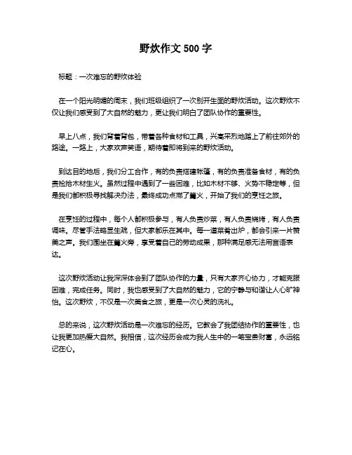 野炊作文500字