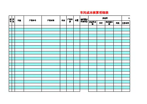 车间成本核算明细表