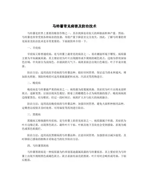 马铃薯常见病害及防治技术