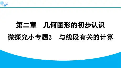 2024年七年级数学上册第二章几何图形的初步认识复习题及答案解析微探究小专题3与线段有关的计算